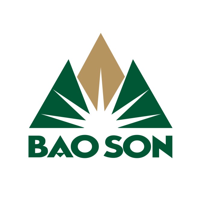 Logo Tập Đoàn Bảo Sơn